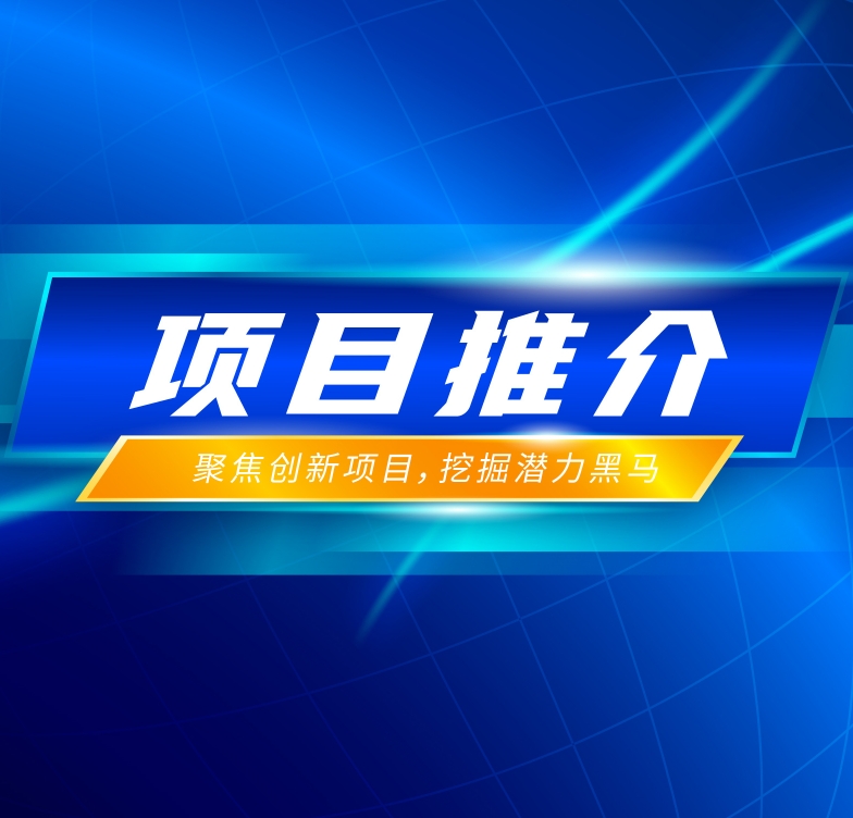 项目推介 | 类脑结构AI视觉芯片