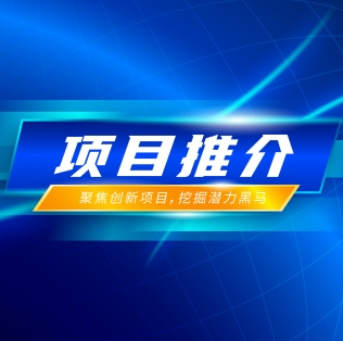 项目推介 | 基于RISC-V的数字信号处理器产品产业化